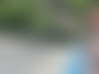 Einsatz: THL Tierrettung Gewässer 2023