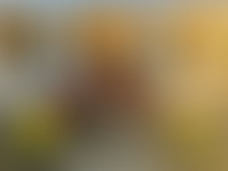 Midtown Public Charter School - STEAM House