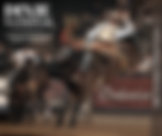 Ag Commissioner Andy Gipson Announces Details for the 56th Dixie National Livestock Show and Rodeo