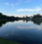 IMG_0132.jpg