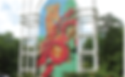 Jackson Zoo to reopen for first time since outbreak