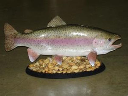 Taxidermy+101+(Large).jpg
