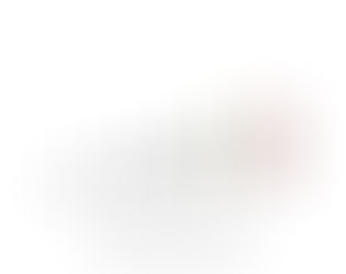 TOIMINTASUUNNITELMA ALKAVALLE VUODELLE