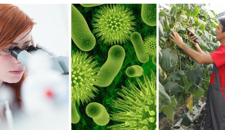 A&L Biologicals photos.png