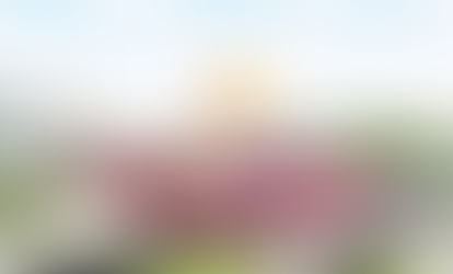 Thiết kế Website tại Quận Gò Vấp