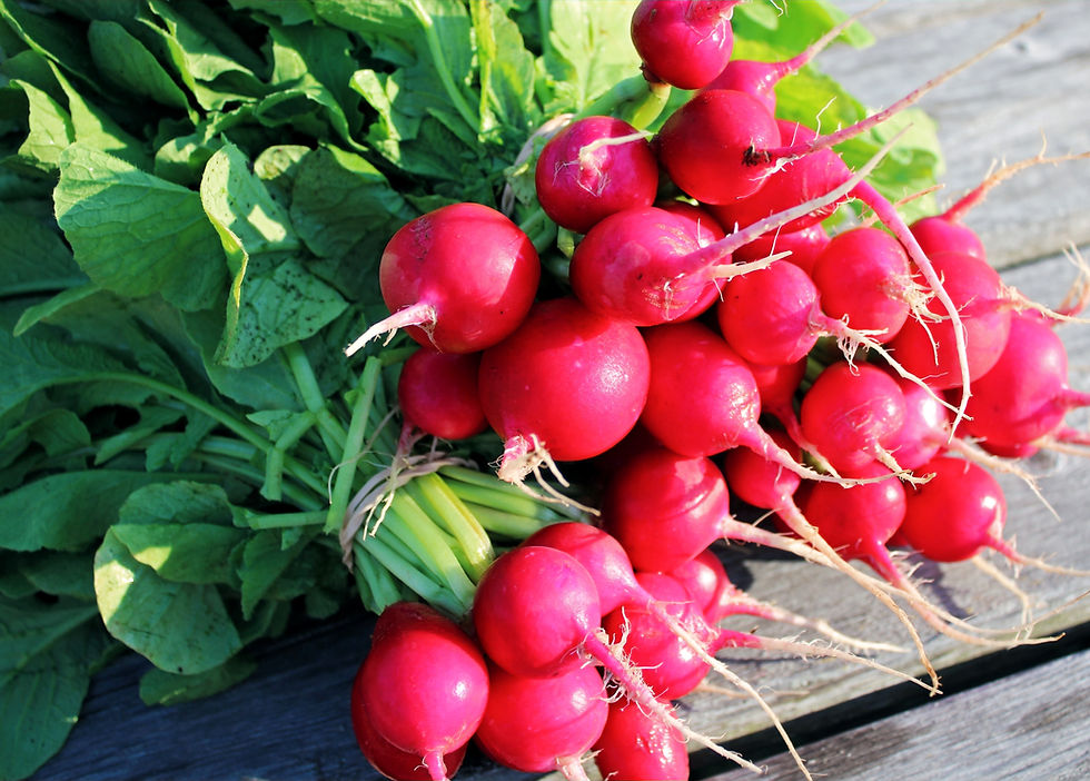 Thumbnail: Radishes