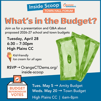 Inside Scoop Budget.png