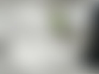大型背景布（300×400）を新しく追加しました！
