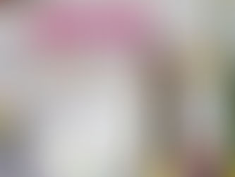 Polleras y Sombreros 2025