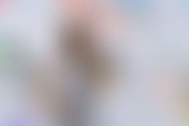 Miss Cuba Teenager 2025 special guest at Miami Food Festival 