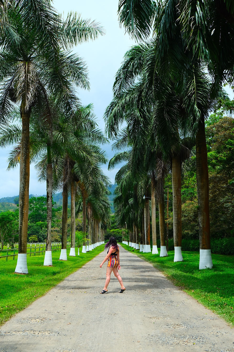 What can we learn from one of the happiest countries on earth? Costa Rica.