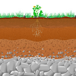 Untitled design (6).png