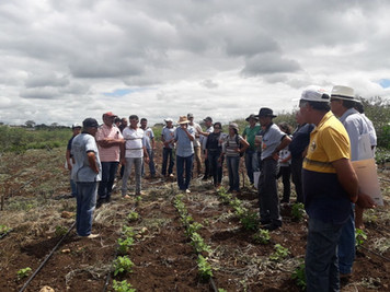 Beneficiários do Procase participam de intercâmbio sobre Silagem Balanceada realizado no município d