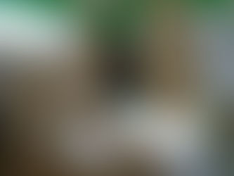 Procase fortalece a cadeia produtiva do artesanato no semiárido paraibano