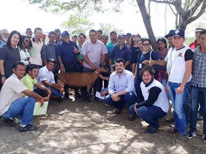 Comunidades atendidas pelo Procase participam de intercâmbio sobre caprinovinocultura