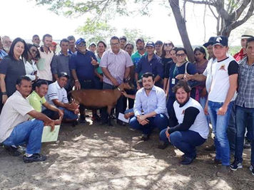 Comunidades atendidas pelo Procase participam de intercâmbio sobre caprinovinocultura