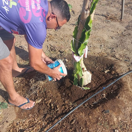 Realizada Assessoria Técnica da Cultura do Maracujá no EcoProdutivo