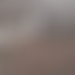 EcoProdutivo comemora o nascimento de ovinos com melhoramento genético 