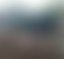 Nasce o primeiro bovino da raça Sindi do EcoProdutivo