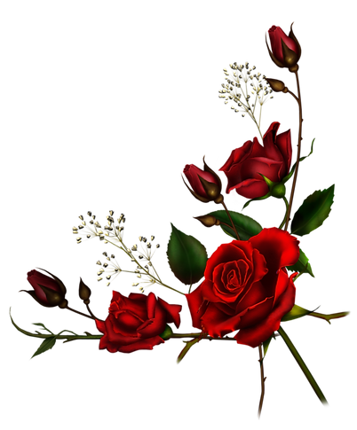 ЦВЕТЫ (15).png