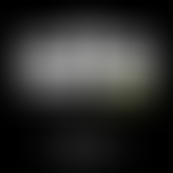 DEEPBEATS Live Broadcasts