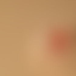 Gruppendynamik verstehen – und Leistung im Team freisetzen