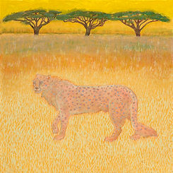 Cheetah Fading Homepage.jpg