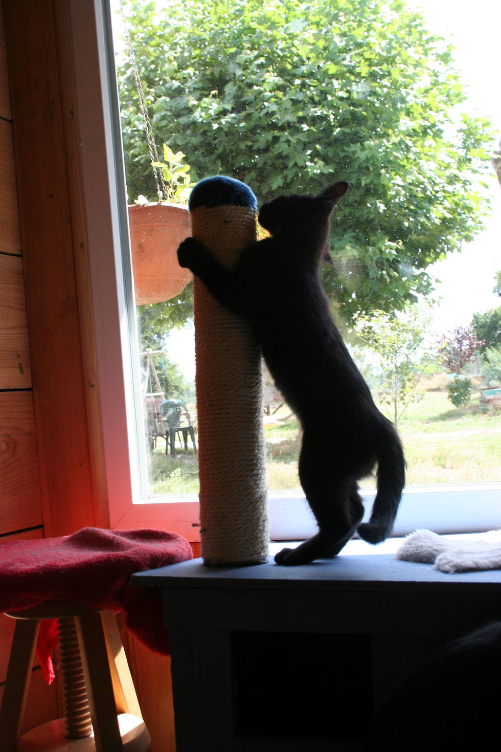 Le_16_août_2010_057