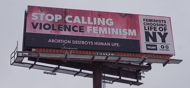 FCL Photo Buffalo (1).jpg