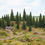 Thumbnail: Noch Fir Trees 26920 HO Scale 