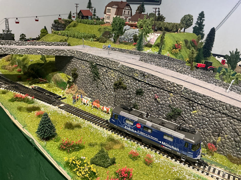 Thumbnail: Roco SBB Re421 71408 HO scale DCC Sound