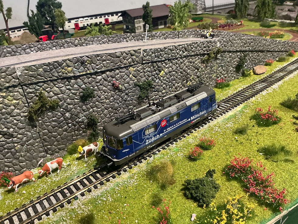 Thumbnail: Roco SBB Re421 71408 HO scale DCC Sound