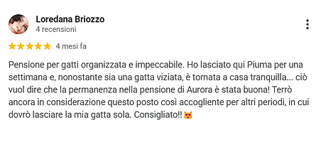 Recensione 7