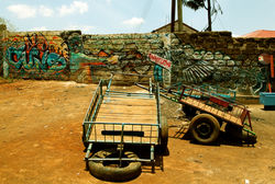Carts