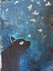 chat nuit bleue etoilé.jpg