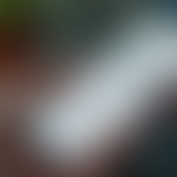 Instagram Recovery Help: Using Instagram Account Recovery Services