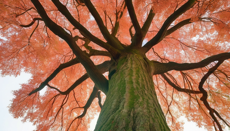 Youth Resilience Workshop