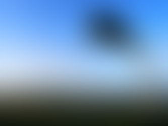 לאן נושבת הרוח (בישראל)