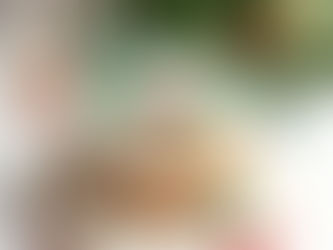 Christmas Cake Costs and Conversions