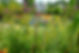 DSCF6897.JPG