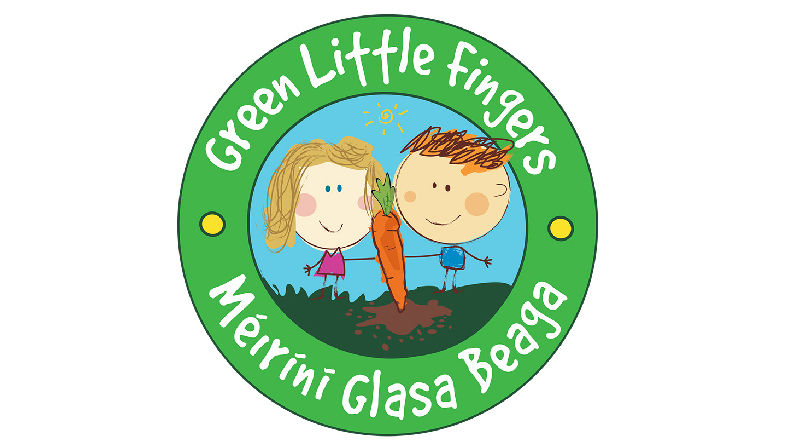 Logo Design Clare