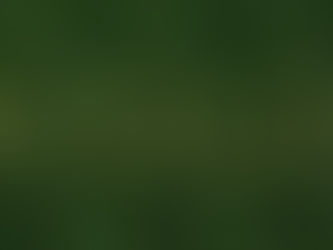 Muthoot Finance Receives Hold Rating From Geojit