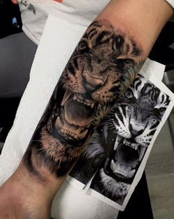 191199861_247359380521718_44373941459448