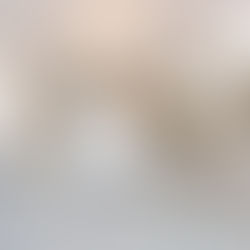 The Art of Consultation Personalised Service at a Professional Hair Salon