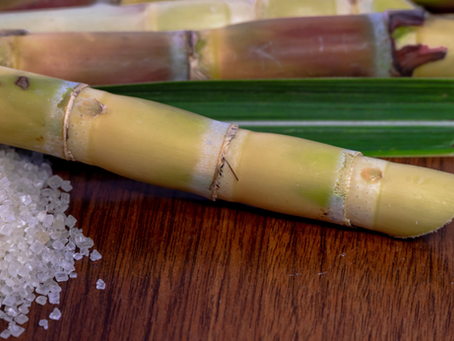 Sugarcane used as the renewable feedstock for bio-based polyethylene (PE)