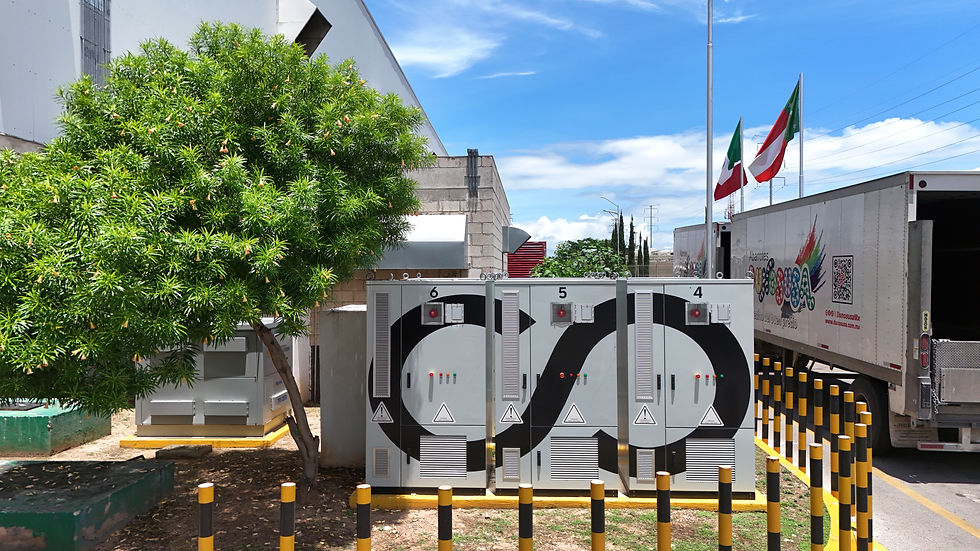 Proyecto Ecopulse (Industria Alimentos y bebidas, Merida, Yucatan)