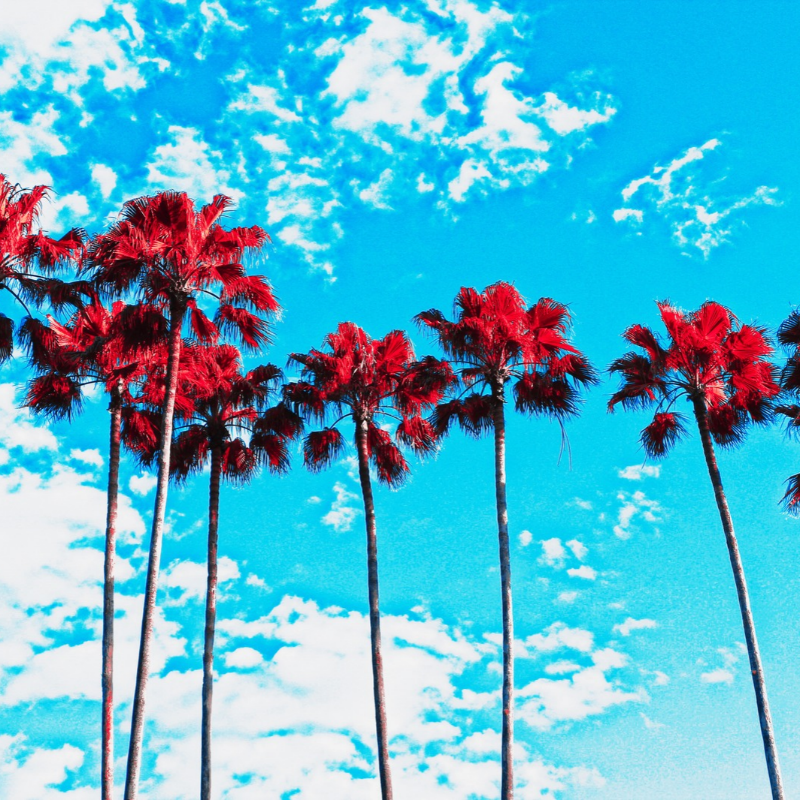 Untitled Design (15).png