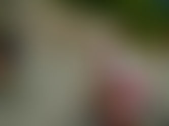 Guillermo Prieto, al campeonato de España paralímpico de carretera de Viveiro