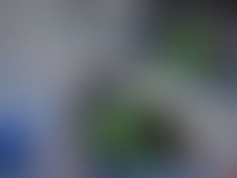 Zuzenak Itxaropenak Goalballeko emakumezkoen txapelketa berreskuratuko du lehen mailako lau talderekin