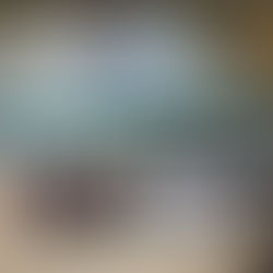 Fundación Vital Zuzenakek porrota jaso du Basketmi Ferrolen aurka (49-45)